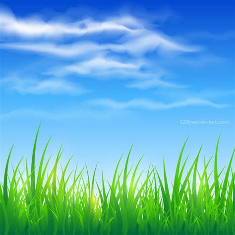 Blue Sky and Green Grass Background | Green grass background, Grass ...