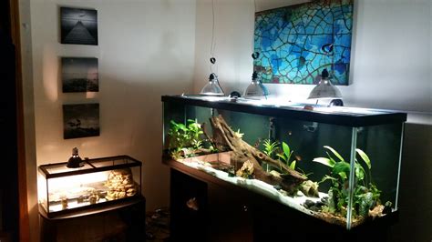 My 125 and 40 gallon(turtle setup) : r/Aquariums