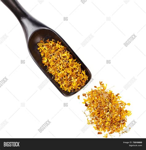 Osmanthus "Fragrant Image & Photo (Free Trial) | Bigstock