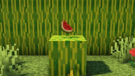 Top 5 uses of melons in Minecraft