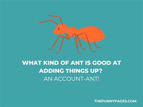 100+ Funny Ant Jokes & Puns - ThePunnyPages