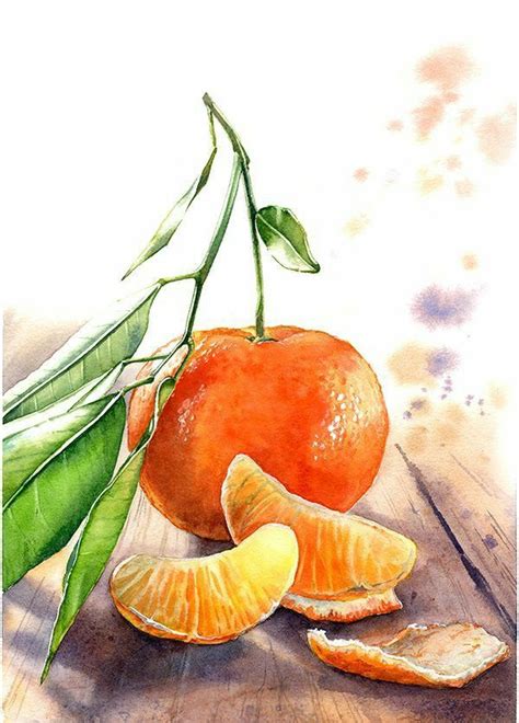 ..great picture... | Watercolor fruit, Watercolor food illustration ...