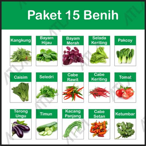 Jual Paket 15 Benih Bibit Biji Tanaman Sayur Daun Berkebun Hidroponik ...