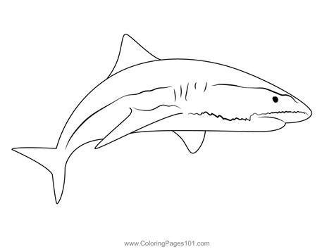 Sand Tiger Shark Coloring Page for Kids - Free Sharks Printable ...