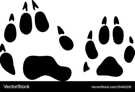 Raccoon Footprints