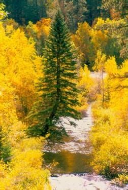 Fall Colors at Spearfish Canyon...just this gorgeous!!! (With images ...