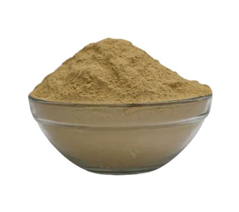 100% Pure Bhumi Amla Powder - Natural Herbal