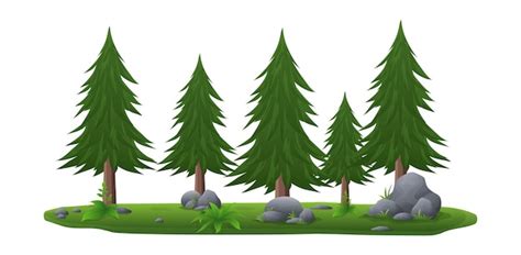 Premium Vector | Coniferous or pine tree collection with grass and ...