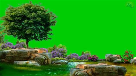 beautiful nature green screen HD background video in 2022 | Greenscreen ...