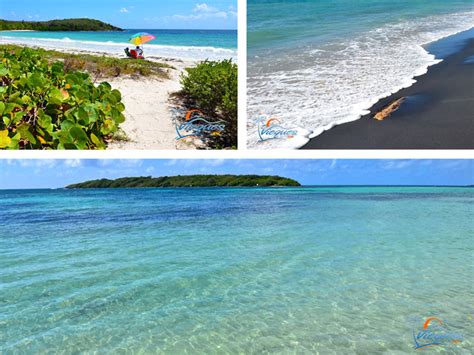 The Amazing Beaches of Vieques… One of the Islands of Puerto Rico | Vieques