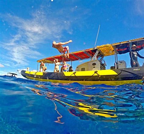 Maui Snorkel Charters (Kihei) - All You Need to Know Before You Go ...