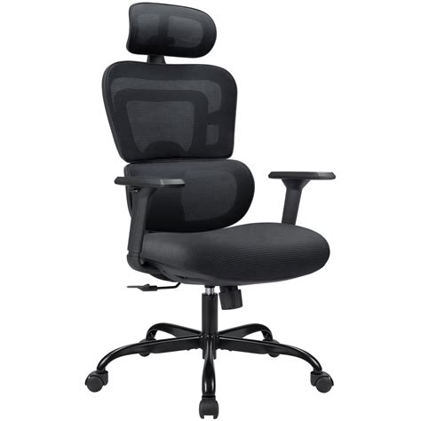 Lacoo High-Back Office Desk Chair Ergonomic Mesh Chair with Lumbar ...