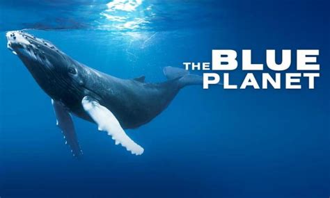 DOWNLOAD The Blue Planet Season 1 Complete 720p All Episodes .Mp4 & 3GP ...