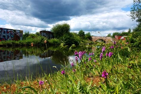 An important step for England’s landscapes: welcoming the new Natural ...