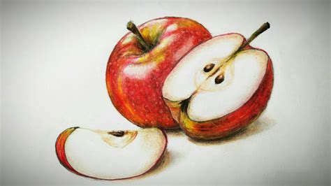 How to draw realistic apple | How to draw Freehand drawing - YouTube