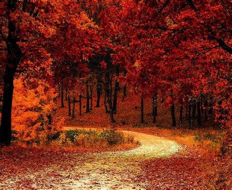 Fall Foliage Wallpapers For Desktop Wallpaper Cave | Images and Photos ...