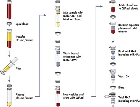 Characterization of RNA from Exosomes and Other Extracellular Vesicles ...