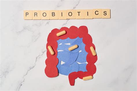 20 Best Probiotic Foods To Add In Your Diet – thegoodbug