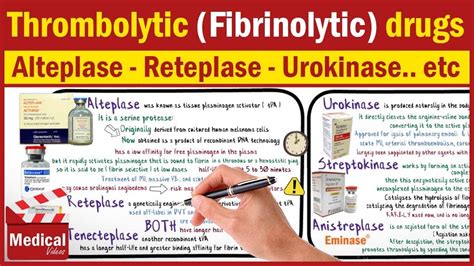 Pharmacology [CVS] 25- Thrombolytic Drugs Mechanism Of Action ...