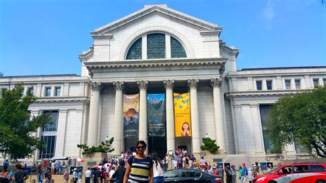 Best 7 Must See Washington DC Museums