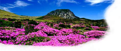 Jeju Island Tour in Korea: Jeju Volcanic Island and Lava Tubes