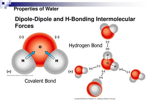 Properties of Water Polar covalent bond – unequal sharing of electrons ...