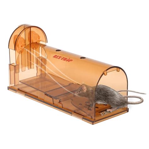 2pcs Mousetrap Rat Traps Transparent Smart Humane Live Mouse Trap No ...