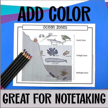 Ocean Zones Diagram for Marine Biology, Oceanography: Cut & Paste, Coloring