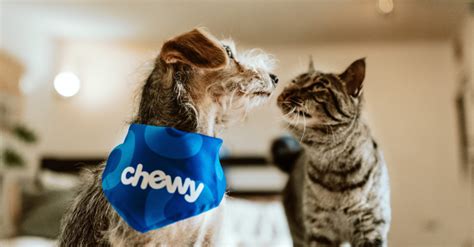 Pet Food, Products, Supplies at Low Prices - Free Shipping | Chewy.com