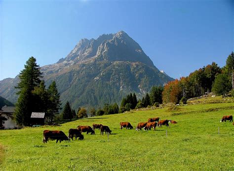 Vallorcine Chamonix Summer Holidays | Peak Retreats