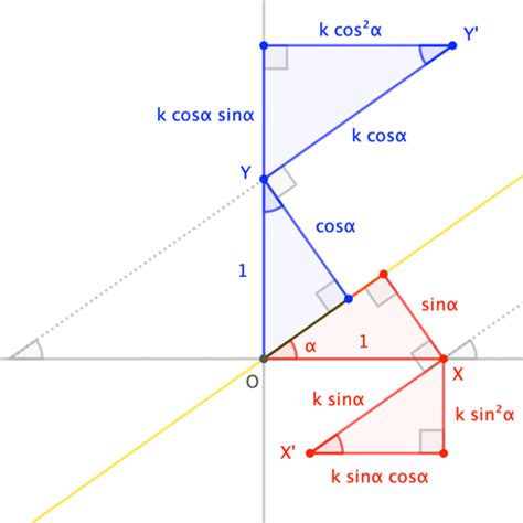 matrices - Interpreting this shear linear transformation - Mathematics ...