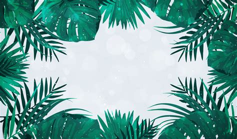 Free photo: Palm Leaf Background - Abstract, Nature, Texture - Free ...