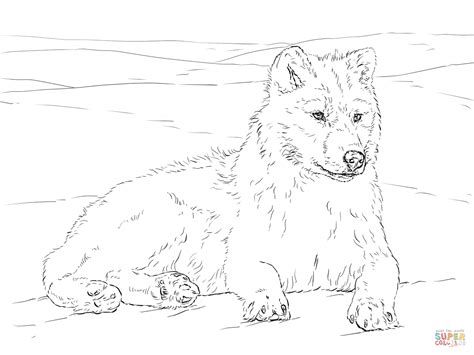 Arctic Wolf coloring page | Free Printable Coloring Pages