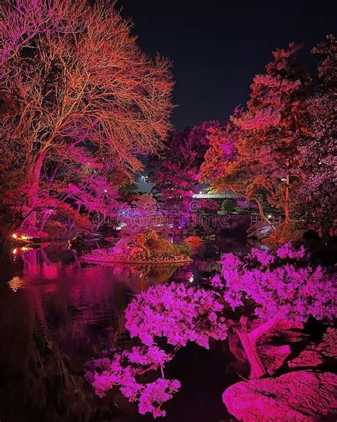 Japanese Gardens of the Fort Worth Botanic Gardens Illuminated by ...