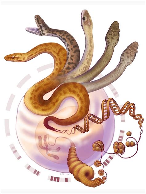 "Childrens Python Morphs" Art Print by Archaleo | Redbubble