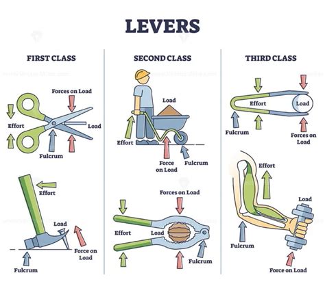 Three Types Of Lever