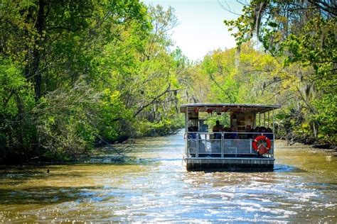 16 Best New Orleans Swamp Tours - TourScanner