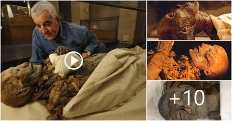 The Fascinating Discovery of the Mummy of Hatshepsut in Egypt’s Valley ...