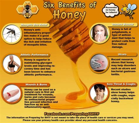 Health Benefits of Local Raw Honey | Carrollwood, FL Patch