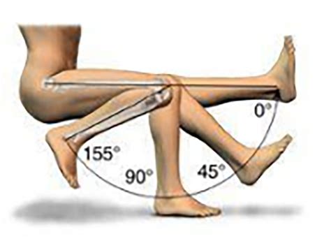 Knee Flexion And Extension Goniometry at Frances Leonard blog