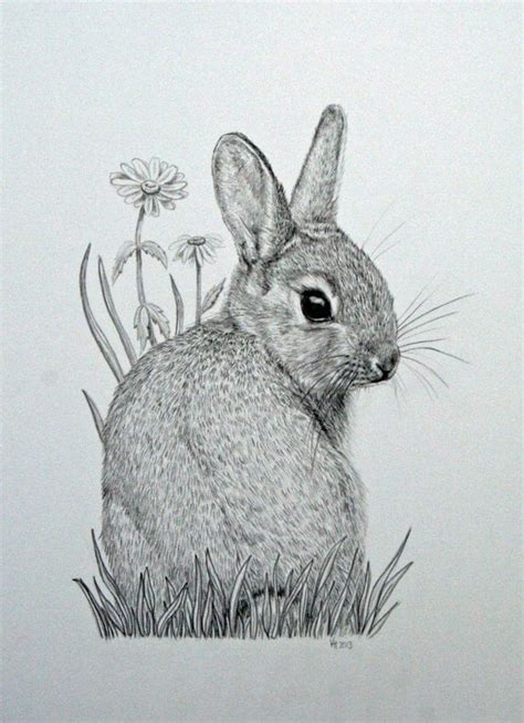 Original mounted pencil drawing of baby bunny by vicksanimalart