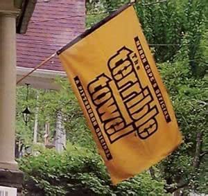 Amazon.com: Pittsburgh Steelers Terrible Towel 3 ft x 5 ft FLAG: Sports ...