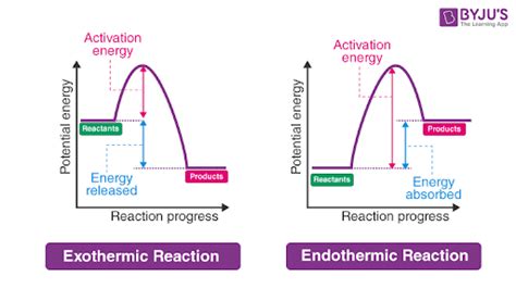 What are Endothermic Reactions? (with Examples & Video)