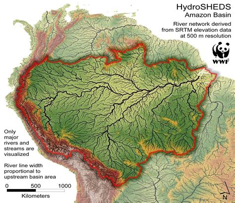 Padrão rios Bacia Amazônica | Amazon rainforest map, Rainforest map ...