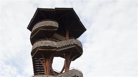 Iconic Cox Arboretum Tree Tower will re-open this weekend | WKEF