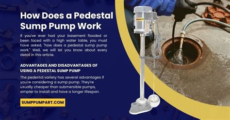 How Does a Pedestal Sump Pump Work? Latest Guide - 2024