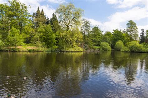 A Lake In Virginia Water Park In Surrey, UK Stock Photo - Image of ...