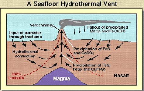 Hydrothermal Vents Diagram