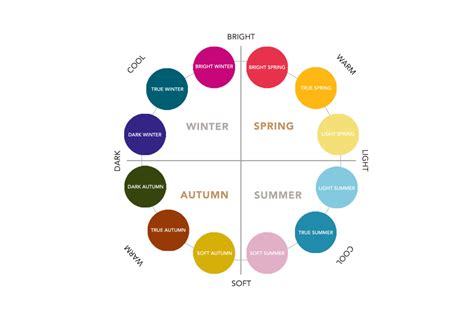 Complete Seasonal Guides - the concept wardrobe | Color analysis ...