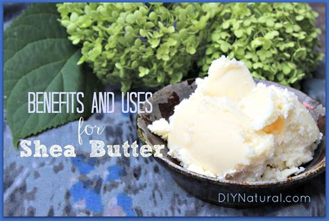 Shea Butter Benefits and Favorite Shea Butter Recipes